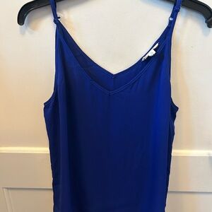 Sandy and Sid  Royal Blue V-Neck tank